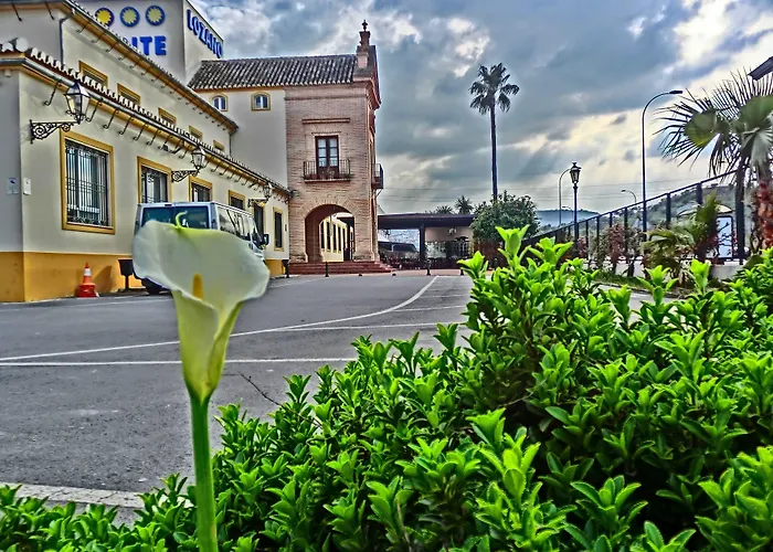 Lozano Antequera